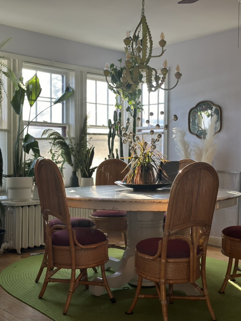 A bright dining area with a wood table and plants