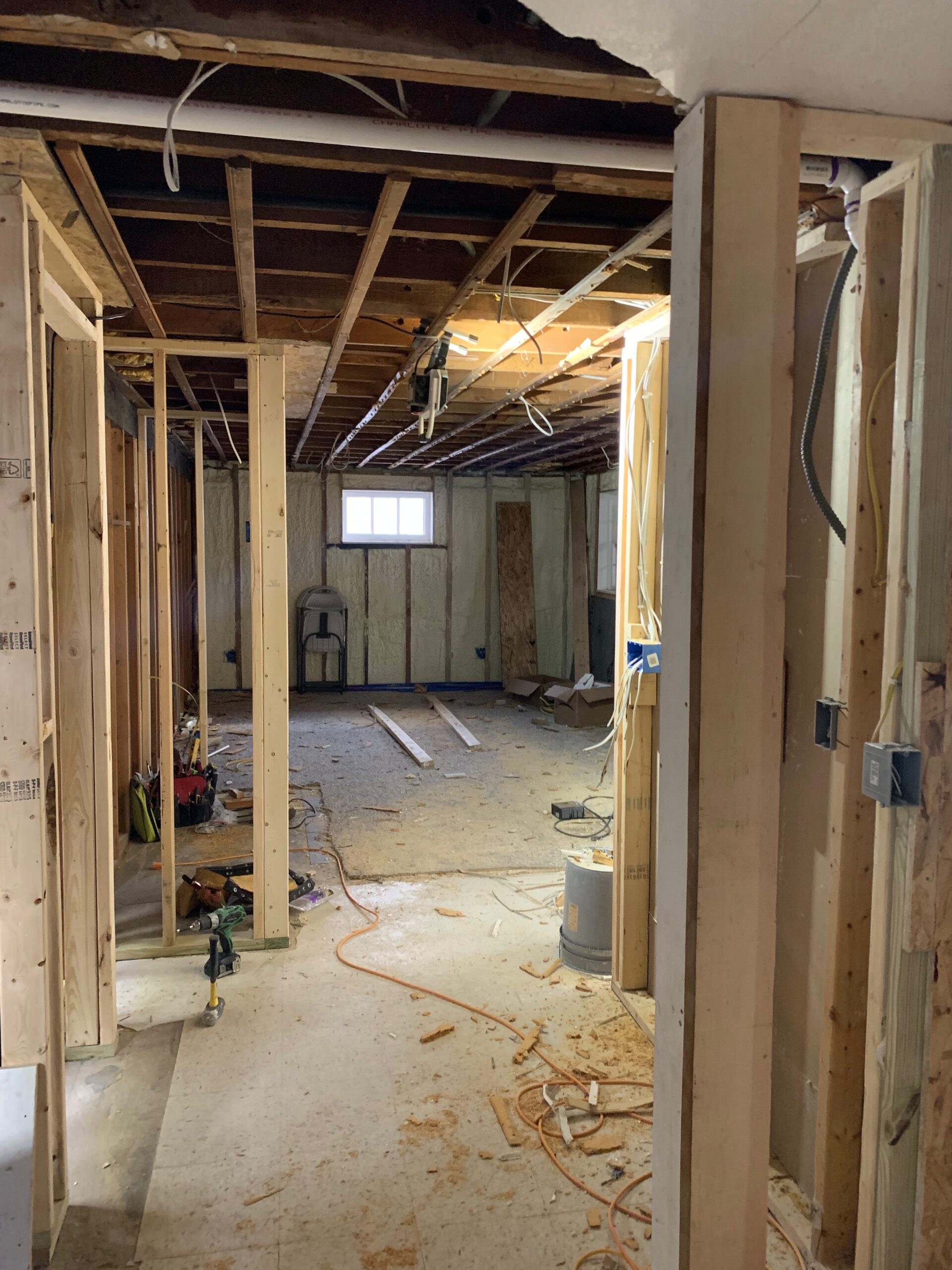 Basement gutted to the studs and joists with new framing