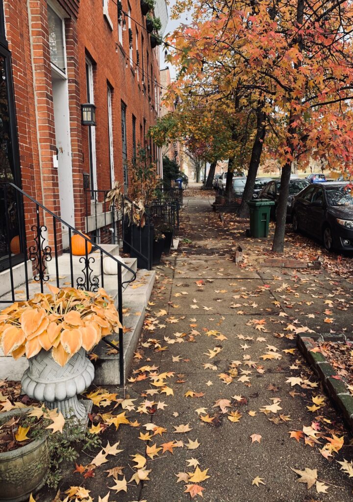 Fall leaves on a sidewalk lined with brick row houses in Baltimore