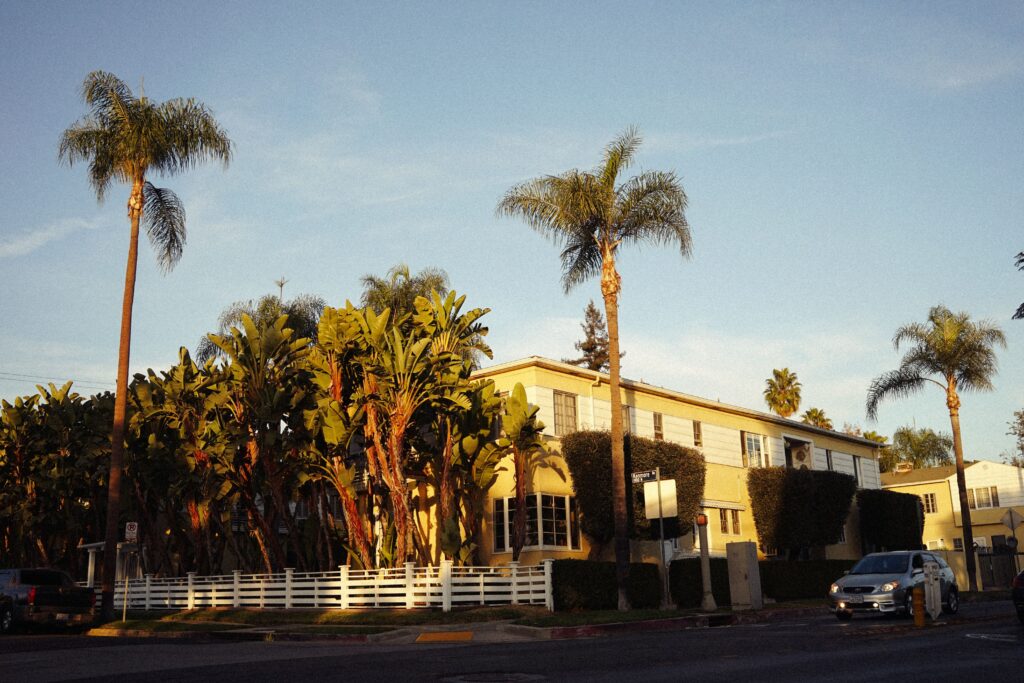 Mid-century apartment building with tall palm trees in warm light in Los Angeles