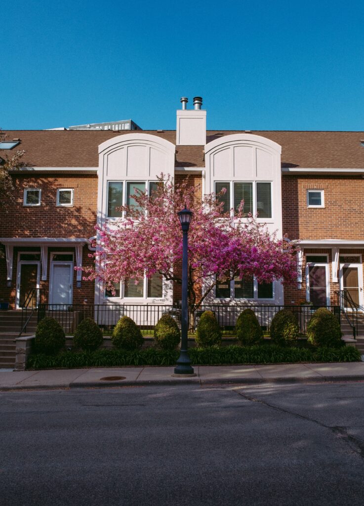 Minneapolis multi-unit townhouse with a pink flowering tree in spring