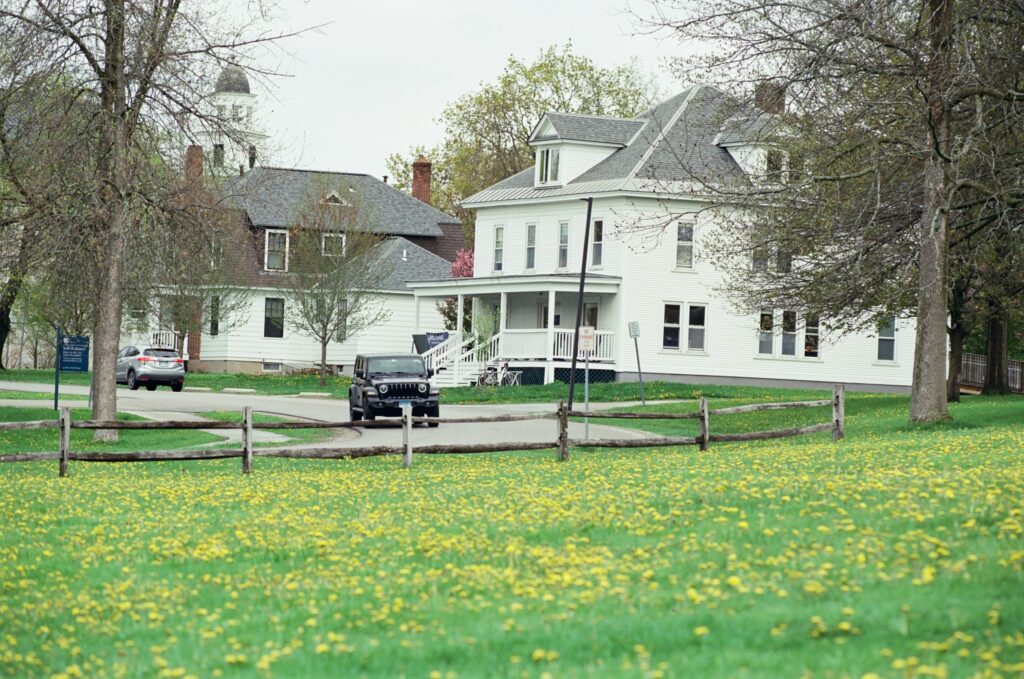 White houses and parked cars on a small-town street with a dandelion-filled lawn in spring